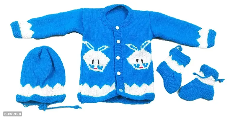 ARUNA KULLU HANDLOOM Unisex Wool Round Neck Sweater (72527221180_Blue_0-6 Months)