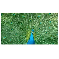 Peafowl Peacock Wall Sticker Classrooms, Homes, Schools, Sports Room, Lovely Sports Poster, Comforts-thumb1