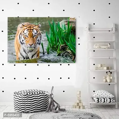 New Poster Tiger Amazing Wall Sticker Poster of Nature Living Room Home D&eacute;cor. (Pack of 1)