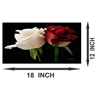 New Best Poster Beautiful Red And White Rose PVC Poster For Living room,Bed Room , Kid Room, Guest Room Etc.(Pack of 1)-thumb2