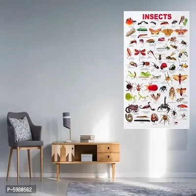 New PVC Insects Chart Wall Sticker For Living Room , Bed Room , kid Room , Guest Room .(Size 12x18 Inch)  Best Poster Pack of 1.