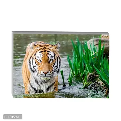 Voorkoms Tiger Amazing Sunboard Animal Waterfall Poster of Nature Living Room Home Decor