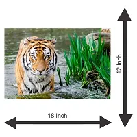 Voorkoms Tiger Amazing Sunboard Animal Waterfall Poster of Nature Living Room Home Decor-thumb1