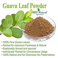 Voorkoms Premium Guava Leaf Powder (100g | Natural Dried Leaves | Traditional Method | No Preservative-thumb2