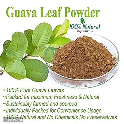 Voorkoms Premium Guava Leaf Powder (100g | Natural Dried Leaves | Traditional Method | No Preservative-thumb3