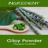 Voorkoms Premium Giloy Powder Ayurvedic Immune Booster  Herbal Health Tonic 100gm-thumb1