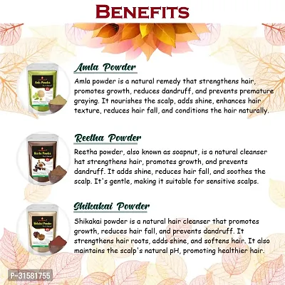 Amla, Reetha and Shikakai Powder for Hair Growth and Shining Hair Care Powder-thumb2