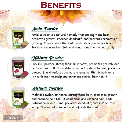 Shikakai, Reetha, Amla, Mehndi, Hibiscus  Indigo Powder for Hair Care Combo Powder-thumb2