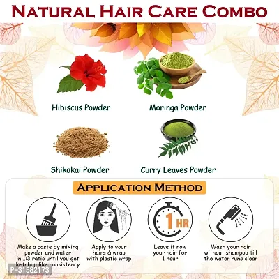 Hibiscus, Shikakai, Moringa and Curry Leaves Powder for Help Hair Growth Powder-thumb4