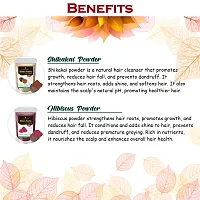 Hibiscus, Shikakai, Moringa and Curry Leaves Powder for Help Hair Growth Powder-thumb1