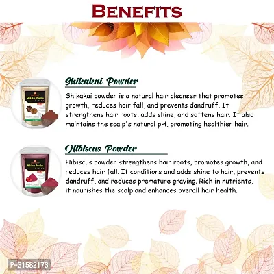 Hibiscus, Shikakai, Moringa and Curry Leaves Powder for Help Hair Growth Powder-thumb2