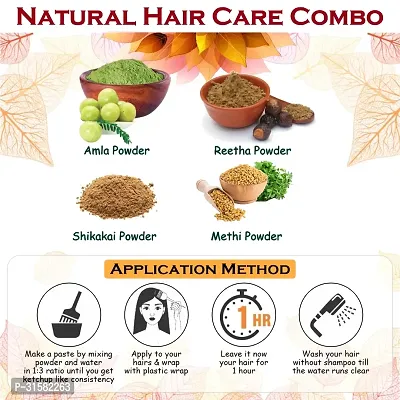 Methi, Amla, Reetha and Shikakai Powder for Hair Growth Hair Care Powder-thumb2