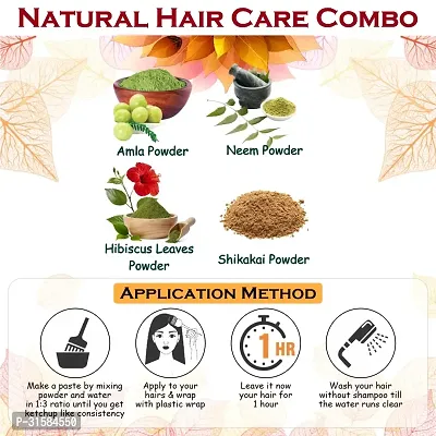 Amla, Shikakai, Neem and Hibiscus Leaves Powder for Hair Care Combo Powder-thumb2