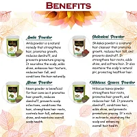 Amla, Shikakai, Neem and Hibiscus Leaves Powder for Hair Care Combo Powder-thumb2