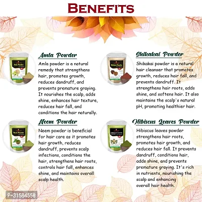 Amla, Shikakai, Neem and Hibiscus Leaves Powder for Hair Care Combo Powder-thumb3