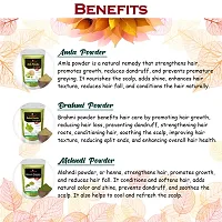 Amla, Bhringraj, Brahmi, Mehndi and Shikakai Powder for Hair Care Combo Powder-thumb2