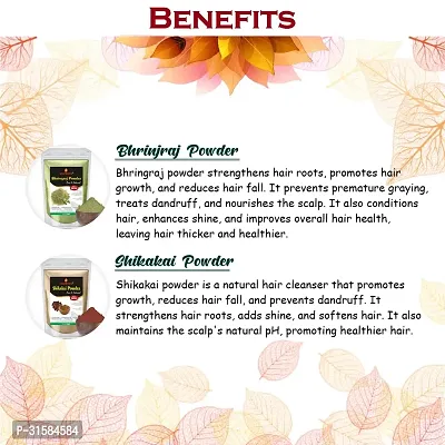 Amla, Bhringraj, Brahmi, Mehndi and Shikakai Powder for Hair Care Combo Powder-thumb2