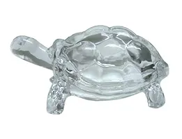 Ash Space Crystal Tortoise-thumb1