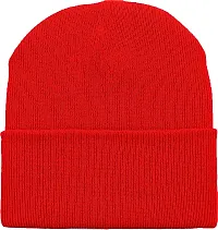 THE BLAZZE 2015 Winter Beanie Cap for Men and Women (Free, Red)-thumb1