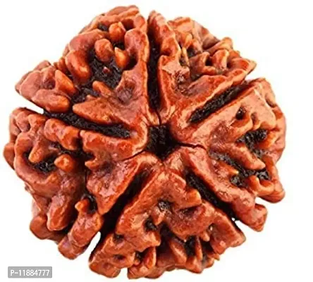 Raviour Lifestyle 5 Mukhi Nepali Rudraksha/Five Faced Rudraksh and Natural Nepali Rudraksha for Good Fortune