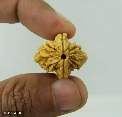 Raviour Lifestyle Brown 2 Mukhi Nepali Rudraksha Mantra Siddha 2 Face Nepali Rudraksha for Good Fortune-thumb4