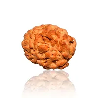 Raviour Lifestyle Natural 3 Mukhi/3 Face Nepali Rudraksha Original & Natural Nepali Rudraksha (Unisex)-thumb4