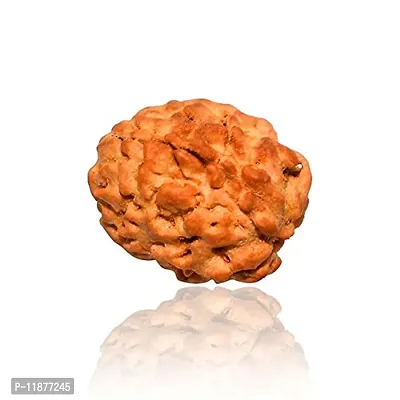 Raviour Lifestyle Natural 3 Mukhi/3 Face Nepali Rudraksha Original & Natural Nepali Rudraksha (Unisex)-thumb5