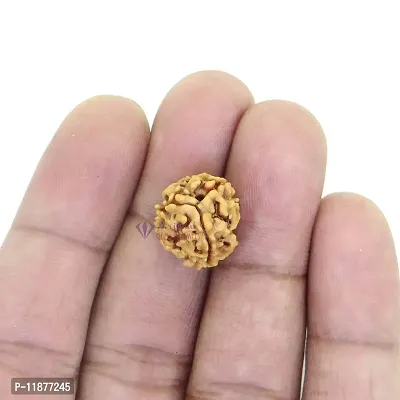 Raviour Lifestyle Natural 3 Mukhi/3 Face Nepali Rudraksha Original & Natural Nepali Rudraksha (Unisex)-thumb3