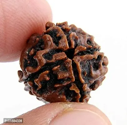 Raviour Lifestyle Natural 4 Mukhi Nepali Rudraksha (Four Mukhi) for Astrological Purpose-thumb4