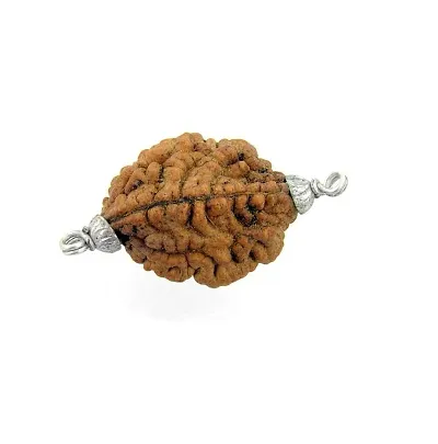 Raviour Lifestyle 2 Mukhi Two Face Rudraksha Pendant Do Mukhi Orignal Pendant Silk Dori Pendant