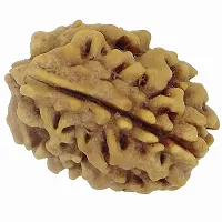 Raviour Lifestyle Natural 3 Mukhi/3 Face Nepali Rudraksha Original & Natural Nepali Rudraksha (Unisex)-thumb1