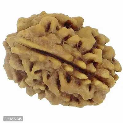 Raviour Lifestyle Natural 3 Mukhi/3 Face Nepali Rudraksha Original & Natural Nepali Rudraksha (Unisex)-thumb2