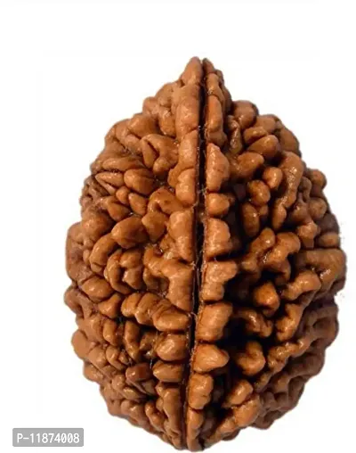 Raviour Lifestyle 2 Mukhi Nepali Rudraksha (Two Mukhi) Nepali Rudraksha/Two Faced Rudraksh for Men and Women-thumb0