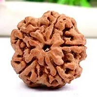 Raviour Lifestyle 5 Mukhi Nepali Rudraksha/Five Faced Rudraksh and Natural Nepali Rudraksha for Good Fortune-thumb3