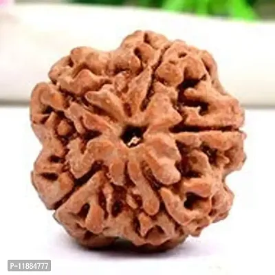 Raviour Lifestyle 5 Mukhi Nepali Rudraksha/Five Faced Rudraksh and Natural Nepali Rudraksha for Good Fortune-thumb4