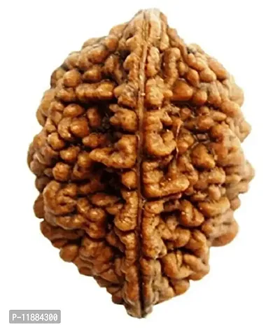 Raviour Lifestyle 2 Mukhi Nepali Rudraksha 100% Natural (Two mukhi) Nepali Rudraksha Bead for Good Fortune