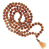 Raviour Lifestyle 5 Mukhi Rudraksha Mala for Pooja (Astrology) for All Rashis for Unisex (108 +1 Beads) Diameter 7mm-thumb4