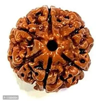 Raviour Lifestyle Rudraksha 6 Mukhi RUDRAKSHA Original & Natural Six Faced for Astrological Benefits