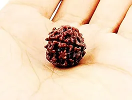 Raviour Lifestyle Natural 4 Mukhi Nepali Rudraksha (Four Mukhi) for Astrological Purpose-thumb1