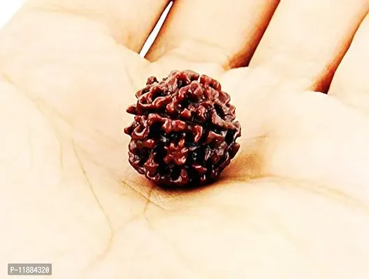 Raviour Lifestyle Natural 4 Mukhi Nepali Rudraksha (Four Mukhi) for Astrological Purpose-thumb2