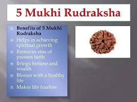 Raviour Lifestyle 5 Mukhi Nepali Rudraksha/Five Faced Rudraksh and Natural Nepali Rudraksha for Good Fortune-thumb2