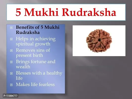 Raviour Lifestyle 5 Mukhi Nepali Rudraksha/Five Faced Rudraksh and Natural Nepali Rudraksha for Good Fortune-thumb3