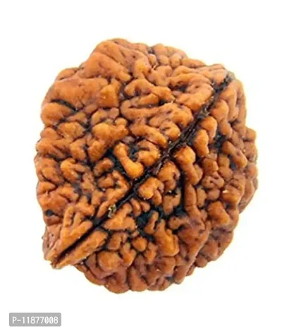 Raviour Lifestyle Original and Natural Nepali Rudraksha 2 Mukhi Nepali Rudraksha for Astrological Benefits-thumb2