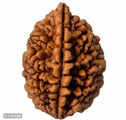 Raviour Lifestyle 2 Mukhi Awesome Quality(2 Face) Natural & Original Nepali Rudraksha for Men and Women