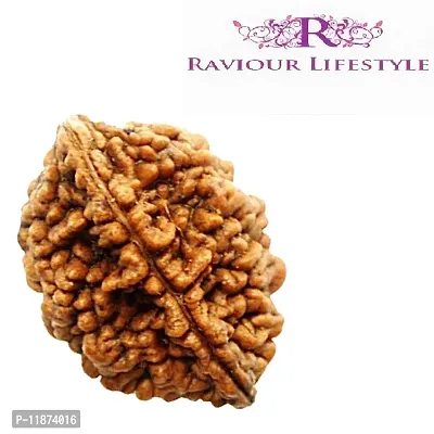 Raviour Lifestyle Brown 2 Faced Two Mukhi Nepali Rudraksha for Men and Women-thumb3