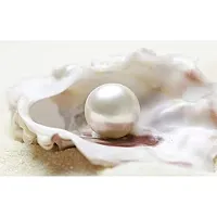 Raviour Lifestyle White Pearl Gemstone 6.50 ct-thumb3