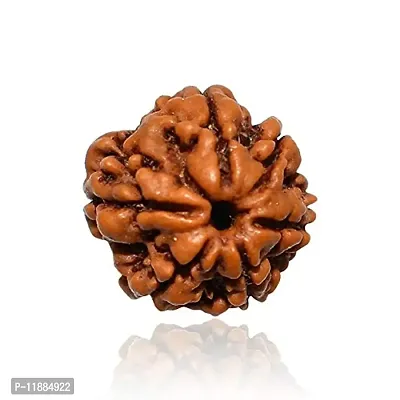 Raviour Lifestyle Rudraksha 6 Mukhi Original & Natural Six Faced Rudraksha for Astrological Benefits-thumb4