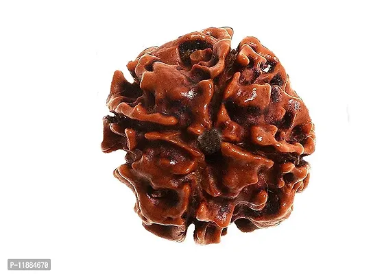 Raviour Lifestyle Nepali Rudraksha 4 Mukhi Nepali Rudraksha 100% Original & Natural Four Faced Nepali Rudraksha for Good Fortune-thumb5