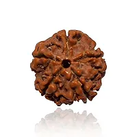 Raviour Lifestyle 5 Faced Nepali Rudraksha/Paanch Mukhi Nepali Rudraksha/Five Faced Nepali Rudraksha for Astrological Benefits-thumb1