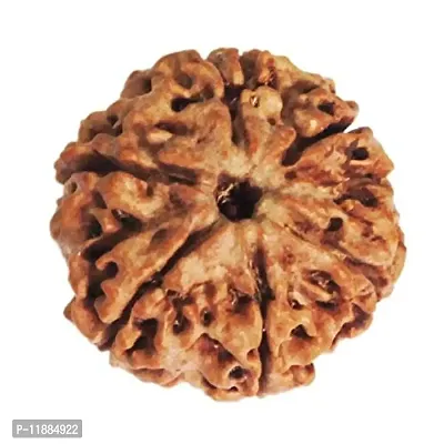 Raviour Lifestyle Rudraksha 6 Mukhi Original & Natural Six Faced Rudraksha for Astrological Benefits-thumb2